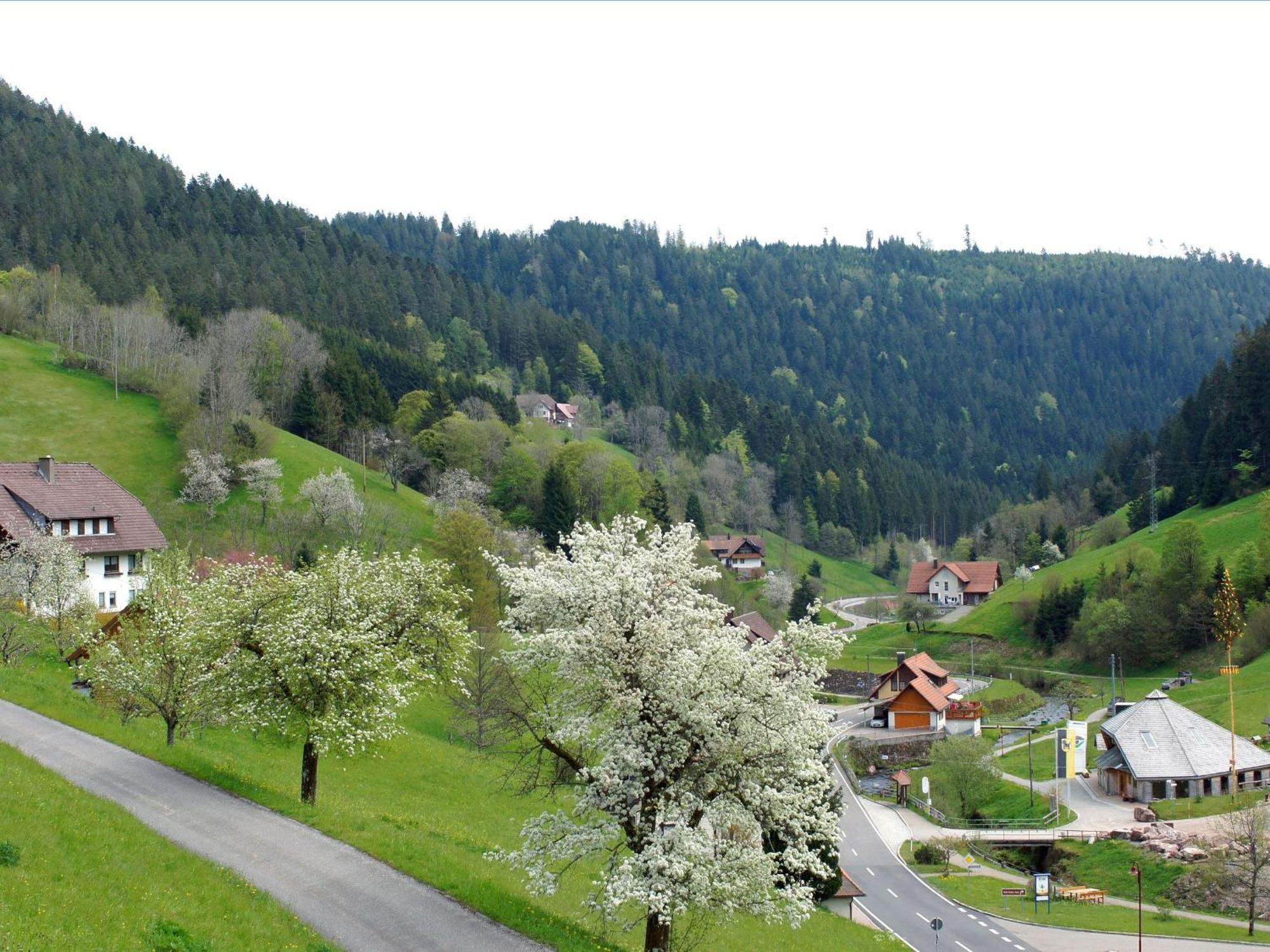 Landpension Am Sommerhang Bad Rippoldsau-Schapbach Kültér fotó