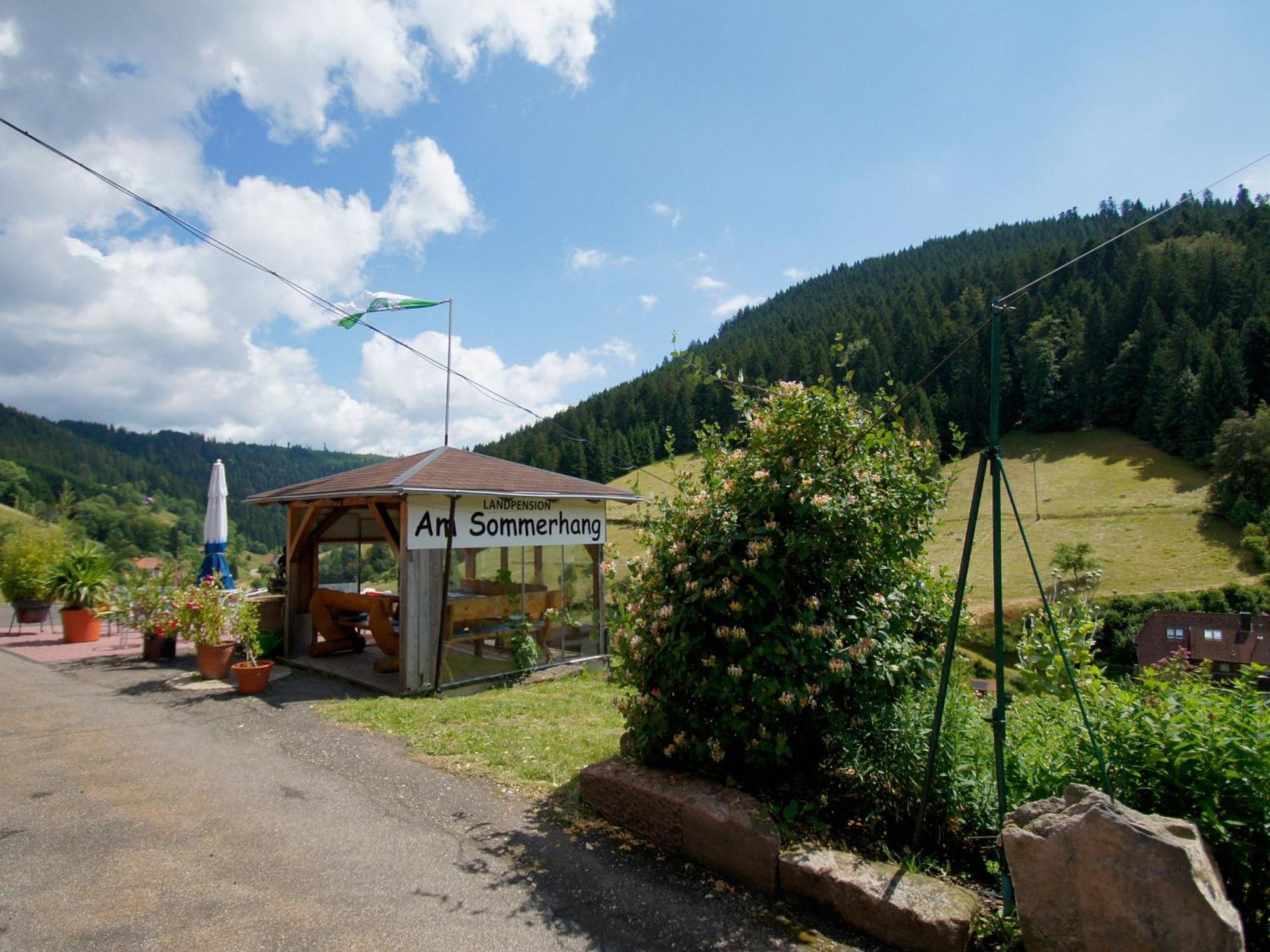 Landpension Am Sommerhang Bad Rippoldsau-Schapbach Kültér fotó